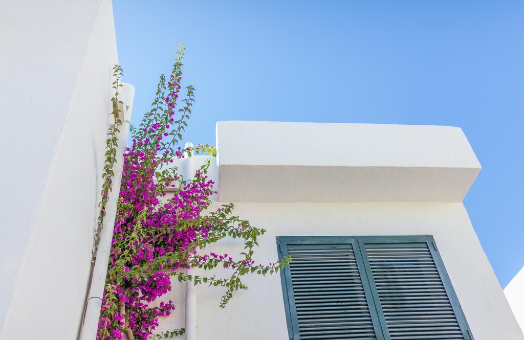 Camelina Suites San Antonio  Exterior foto